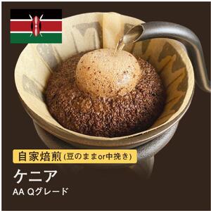 【豆】#013 ケニア AA Qグレード コーヒー豆 310g 当日焙煎 大山珈琲