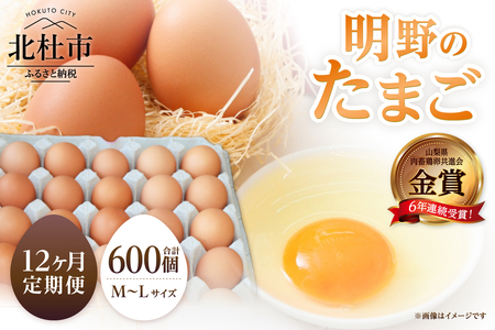 【12ヶ月定期便】金賞受賞 明野のたまご50個　卵 鶏卵  M～L サイズ 定期便 12ヶ月 知事賞 金賞受賞 たまご コク 旨味 濃厚 山梨県 北杜市産 明野 ハイチック