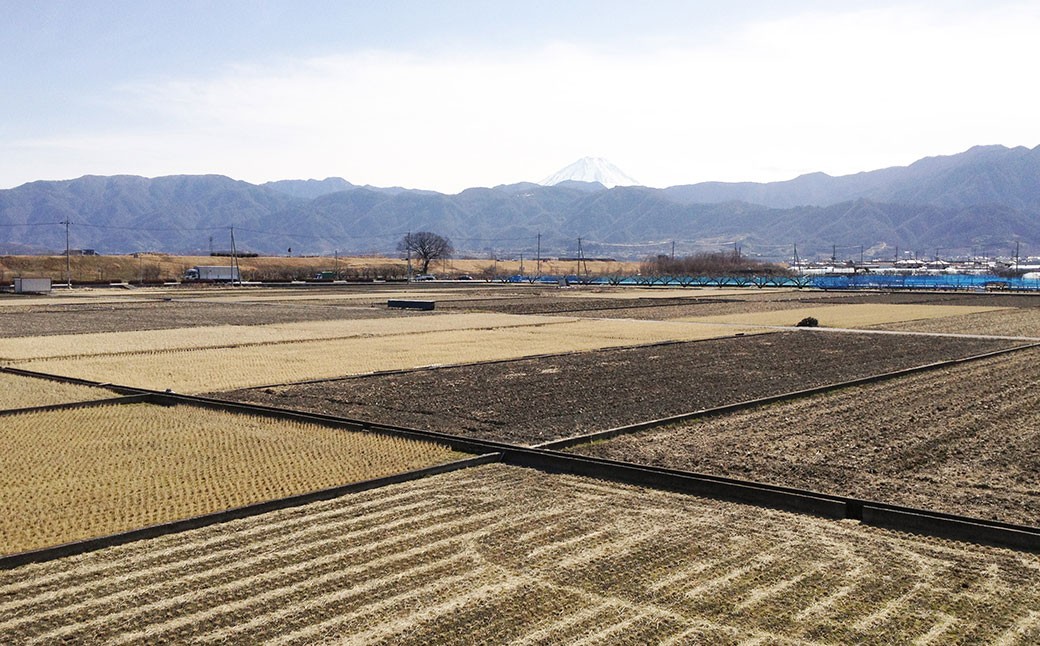 【令和7年産】たとみ農園のお米ヒノヒカリ 2kg