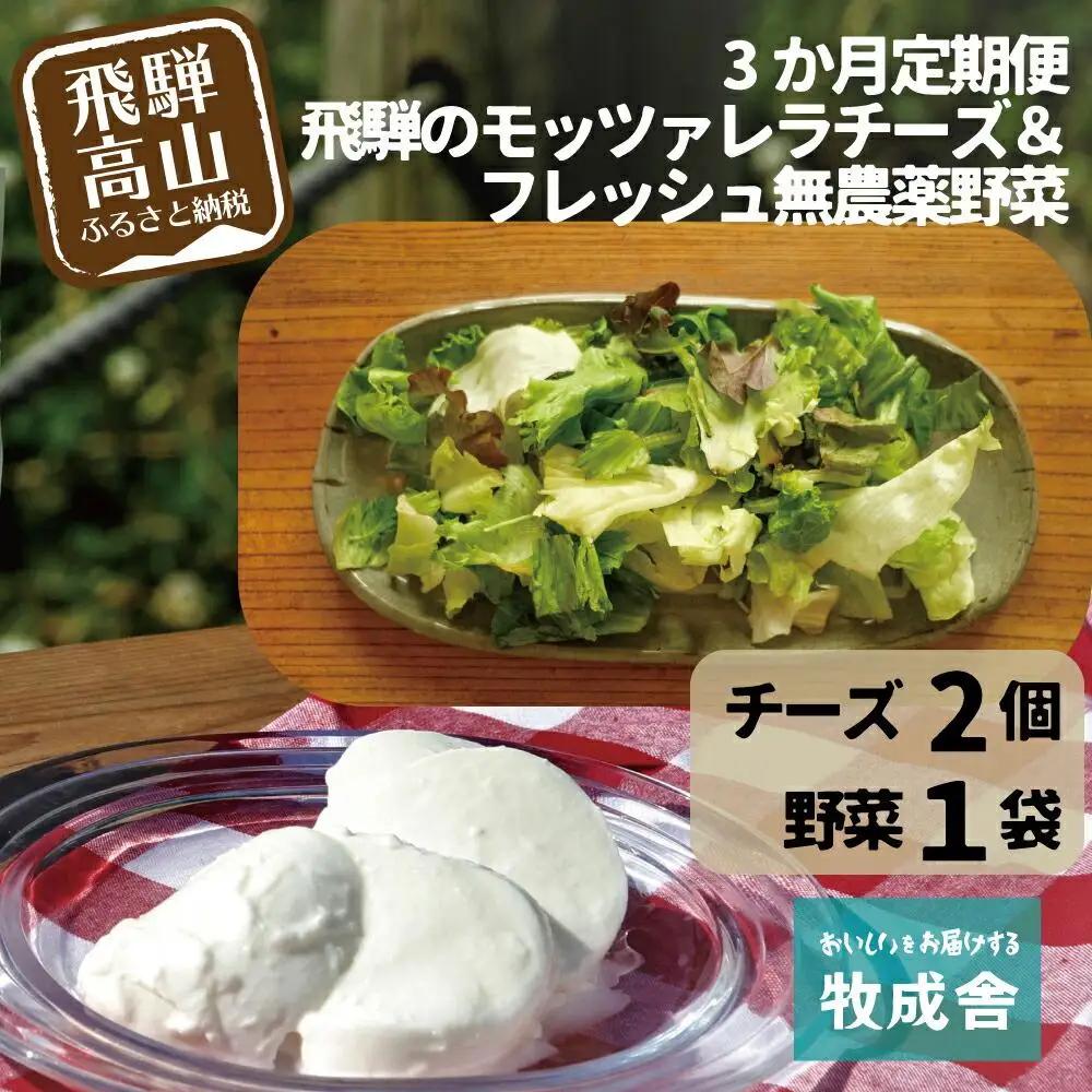 ＜牧成舎定期便 3カ月＞飛騨の新鮮モッツァレラ＆フレッシュ野菜 セット 3回お届け モッツァレラチーズ DF100