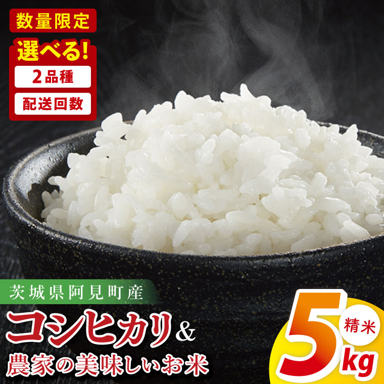 【ふるさと納税】【選べる定期回数】阿見町産コシヒカリ or 農家の美味しいお米 5kg ｜精米 定期便 お米 米 こめ コメ ごはん 白米 阿見町 茨城県 茨城県産 茨城県産米 安心 安全 送料無料 国産 人気 数量限定 高評価