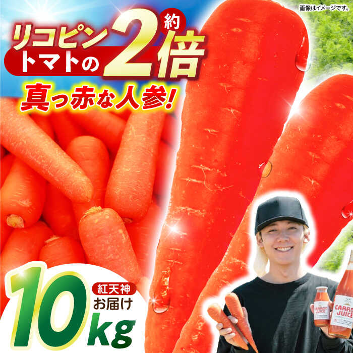 【ふるさと納税】※【2026年1月発送分／先行予約】【甘みと栄養たっぷり！】 真っ赤な人参 「紅天神」 10kg / にんじん ニンジン 人参 やさい 野菜 / 諫早市 / 滝商店株式会社[AHCU002]