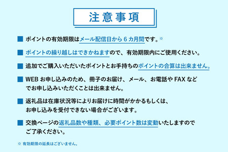 【静岡市】あとから選べるWEBカタログギフト（寄附30万円コース）90000ポイント｜寄附した後にゆっくり返礼品が選べて便利！対象返礼品続々追加中［ 静岡 カタログポイント 有効期限6か月 対象商品続