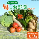 【ふるさと納税】 野菜 5~7品目 詰め合わせ セット 定期便 旬 新鮮 季節の野菜 なすび ブロッコリー キャベツ 白菜 レタス サニーレタス ほうれん草 きゅうり ピーマン とうもろこし トマト ミニトマト 大根 絹さや インゲン豆 玉ねぎ 阿波市 徳島県