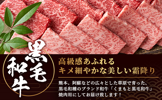 【 A4～ A5 等級 】くまもと黒毛和牛 焼肉用 500ｇ【 ブランド 牛肉 肉 やき肉 焼き肉 バラ ロース モモ 和牛 国産 熊本県 上級 上質 】106-0501