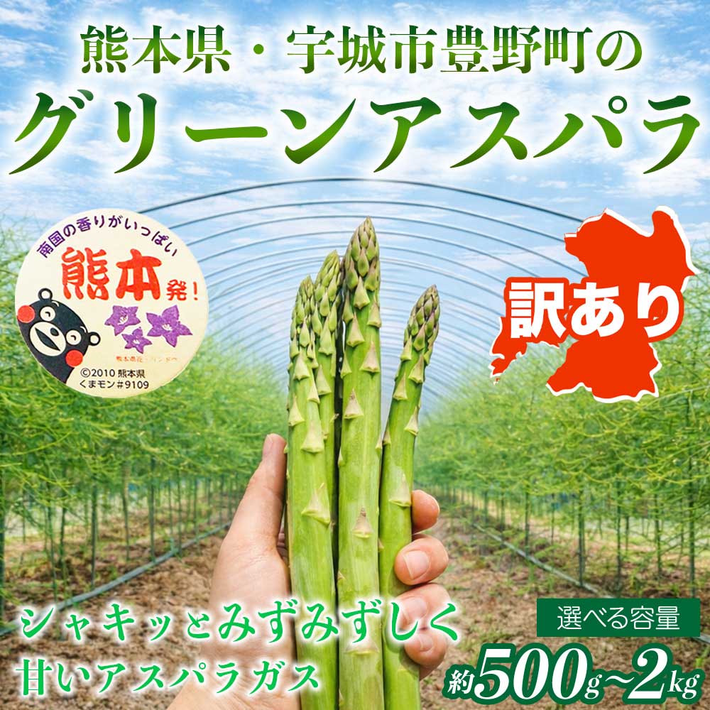 【ふるさと納税】 訳あり アスパラガス グリーンアスパラ アスパラ あすぱら 選べる容量 約500g 約1kg 約2kg (S～L) 【2026年7月上旬～2026年10月中旬発送予定】野菜 春野菜 旬野菜 生鮮食品 熊本 熊本県 宇城市 みずみずしい 甘い シャキシャキ やわらかい 日本フルーツ
