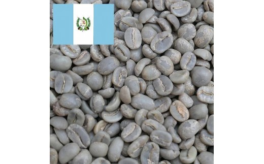 
            【ロースト選択可】コーヒー豆　グアテマラSHB　ウエウエテナンゴファンシー　Qグレード　coffeebeans & sweets Antiqueによるこだわり焙煎豆
          