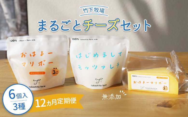 竹下牧場 takeshita farm【定期便12ヶ月】まるごとチーズセット 計560g【2402501】