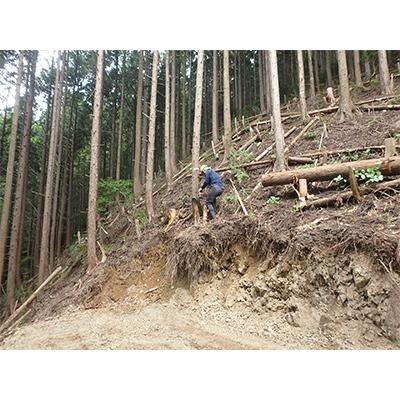 ふるさと納税 日高川町 【和歌山県日高川町産】ヒノキのスリット型ベンチ　1脚 |  | 03