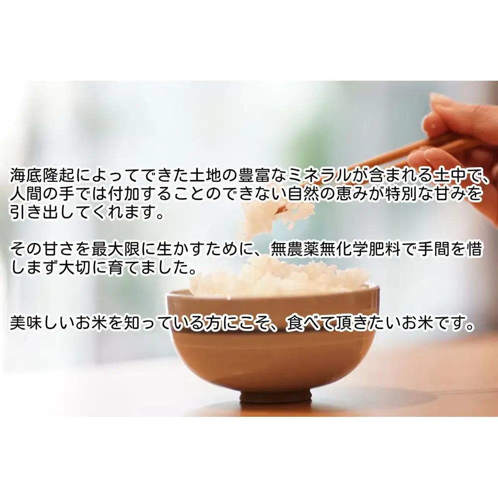 令和7年　魚沼産コシヒカリ（南魚沼塩沢産）JAS有機栽培米「さとみ」白米５kg｜コシヒカリ