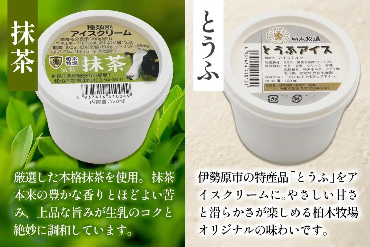 [定期便／3ヶ月連続] 柏木牧場 手づくりアイスクリーム食べ比べ 計24個 (4種 各2個セット×3回・120ml／個) [1253]