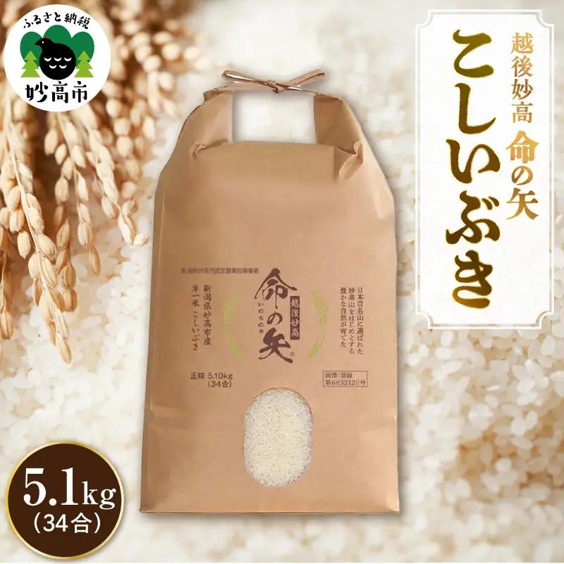先行予約 令和8年産 越後妙高命の矢 こしいぶき 5.1kg 妙高産