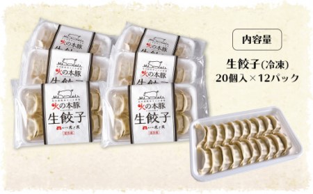 火の本豚餃子 240個入 （20個×12パック）| 豚肉 餃子 熊本 豚肉 餃子 熊本県 豚肉 餃子 くまもと 豚肉 餃子 和水 豚肉 餃子 和水町 豚肉 餃子 なごみ 豚肉 餃子 なごみまち 豚肉 