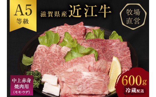 
                  【（限定）父の日までに届く】近江牛 西川畜産 焼肉 中上赤身焼肉用 約600g A5 雌牛 牛肉 黒毛和牛 焼き肉 バーベキュー 赤身 和牛【６/21までに着】ギフト プレゼント 贈り物 ブランド牛 送料無料 滋賀県豊郷町 滋賀 豊郷
                