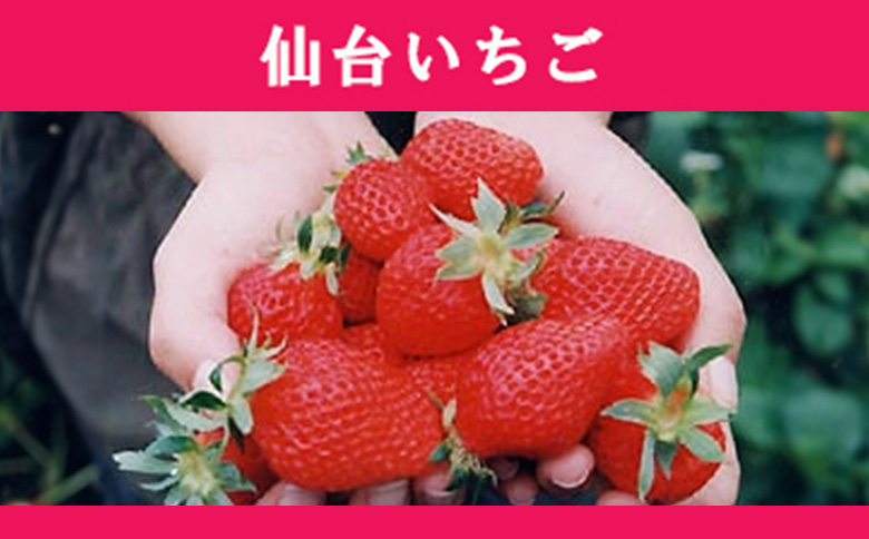 【業務用アイス】仙台いちごアイス 4000ml【01167】