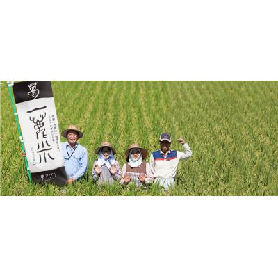 ふるさと納税 山鹿市 米ぬかパウダー4袋入り【株式会社夢アグリ】《山鹿市》 |  | 01