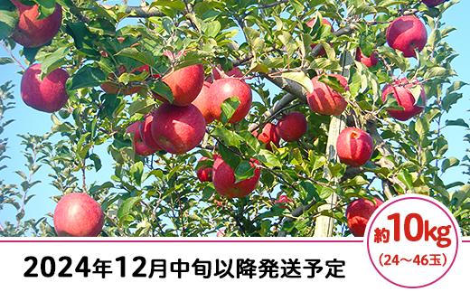 
J0527長野市産サンふじ（家庭用）10kg【2024年12月中旬以降発送予定】（矢島農園）
