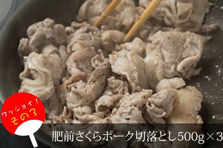 佐賀牛・豚・鶏・お肉セット（6,400g）JAよりみち E730-001