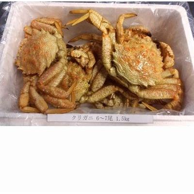 ふるさと納税 根室市 ＜12/21まで年内配送＞★クリガニ6〜7尾(計1.5kg) A-57022 |  | 01