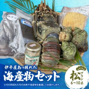 伊平屋島で獲れた海産物セット 松プラン(6～10品)【配送不可地域：離島】【1518233】