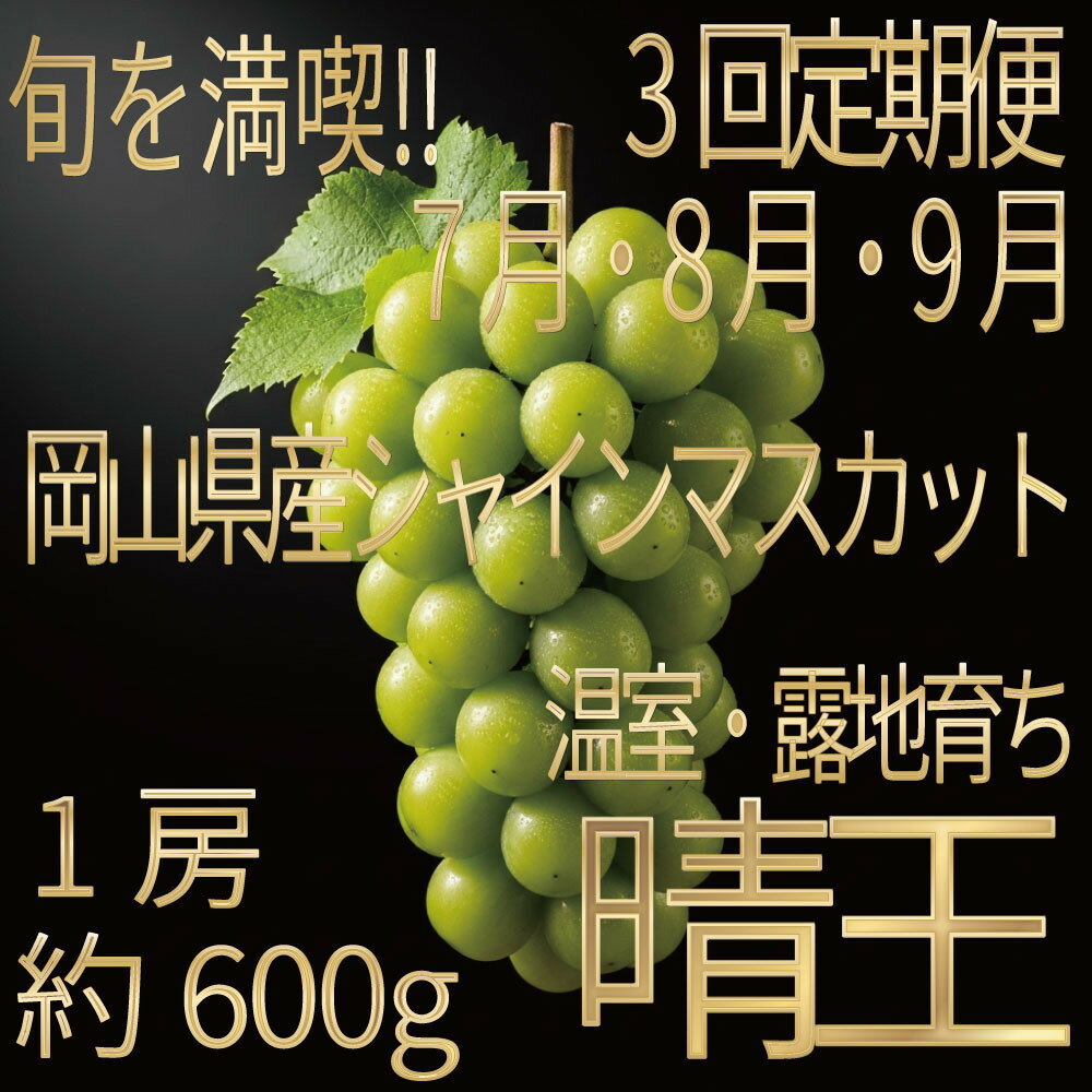 【ふるさと納税】[HS]【定期便 全3回】ぶどう 2026年 先行予約 7月・8月・9月発送 温室シャイン マスカット 晴王 1房 約600g