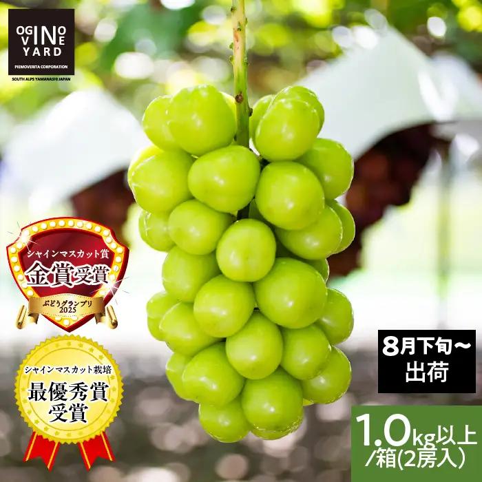 【2026年先行予約_8月中旬～発送】山梨県産シャインマスカット 1.0kg以上／箱 2房入 ALPAK004｜シャインマスカット