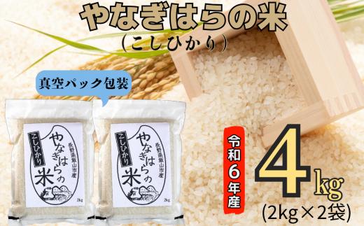 【令和6年産】「やなぎはらの米　こしひかり」4㎏（真空包装） (6-43A)