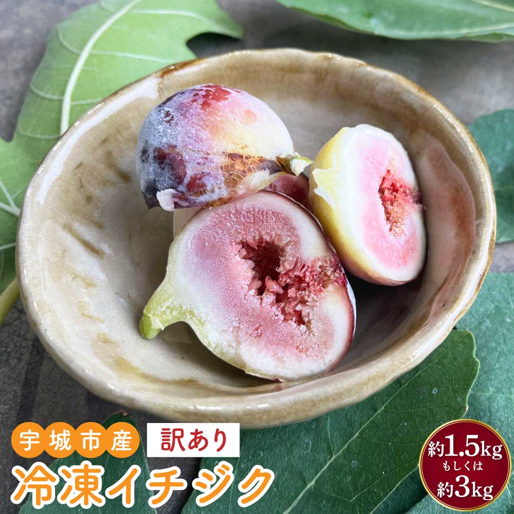 【ふるさと納税】 イチジク 訳あり 冷凍イチジク 【選べる 内容量 約1.5kg（15~25玉）もしくは 計約3kg 約1.5kg×2パック（30~50玉）】 冷凍 熊本県産 宇城市産 国産 九州 熊本県 宇城市 送料無料