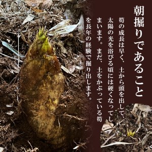 無添加高品質 タケノコ 800g たけのこ