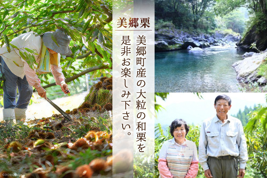 和菓子 栗の渋皮煮 200g×5袋 セット [農林産物直売所 美郷ノ蔵 宮崎県 美郷町 31ab0094] 栗 国産 和栗 栗の渋皮煮 ギフト 栗づくし 和菓子 スイーツ おせち 宮崎県産 美郷産 送