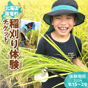 【ふるさと納税】野村農園 稲刈り 体験 チケット【体験期間：2024/9/15〜2024/9/29】 北海道 雨竜町 送料無料