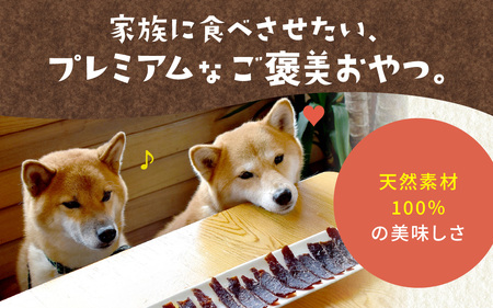 能登 いのしし ジビエジャーキー  20g × 1袋 （ペット用）|  ジャーキー ジビエ