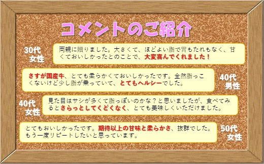 [B168］【長崎和牛】 ヒレステーキ 240g (120g×2枚) A4 A5ランク 厳選 熟成 冷凍 最高級 ギフト 贈答 黒毛和牛 ブランド牛 牛肉 ヒレ フィレ ステーキ 和牛 牛肉 お肉 肉