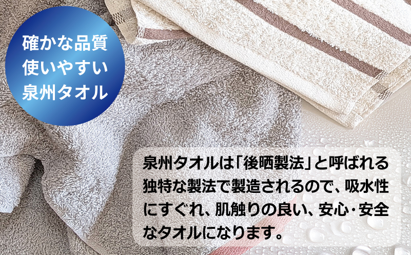 ALOHASコンパクトバスタオル6枚セット【泉州タオル 国産 吸水 たおる 普段使い  シンプル 日用品】 099H4363