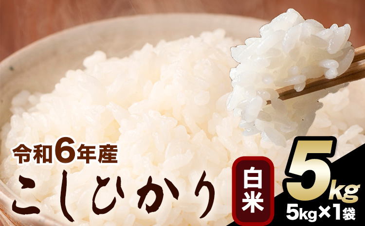 令和6年産 こしひかり 白米  5kg白米 精米 熊本県産(南阿蘇村産含む) 単一原料米 南阿蘇村《2月上旬-2月末頃出荷予定》---mna_kh6_ac2_25_10000_5kg_h---