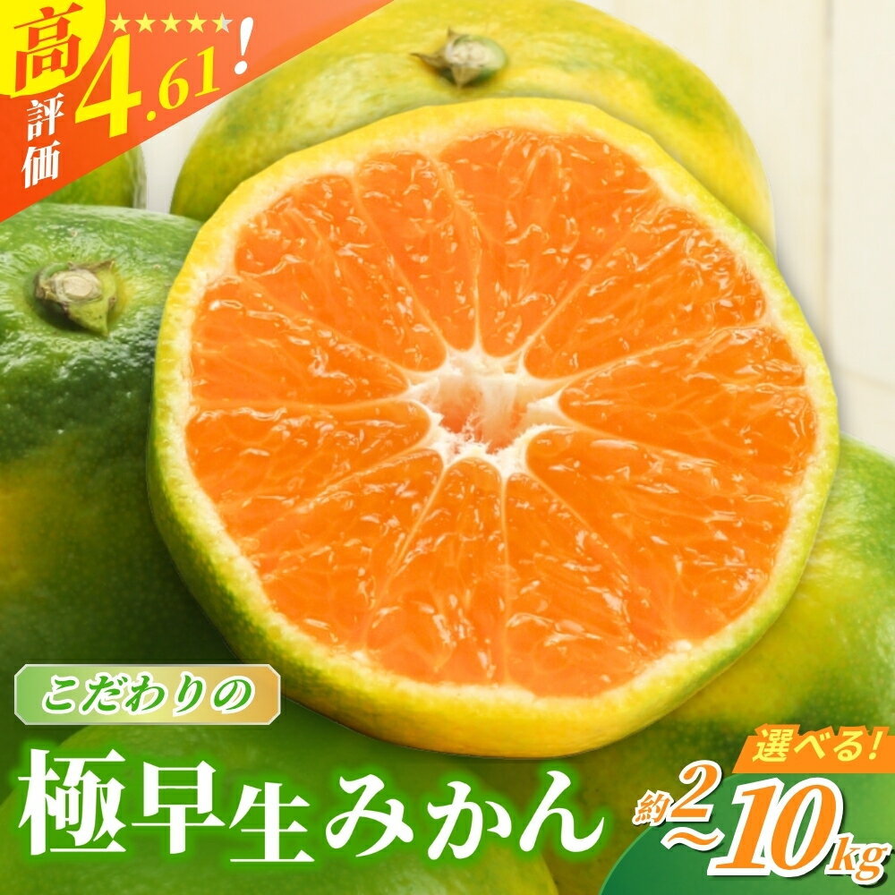 【ふるさと納税】 みかん 極早生 秋発送 農家直送 こだわりの極早生みかん 希少 【選べる容量】約2kg 約4kg 約5kg 約7.5kg 約10kg 数量限定 有機質肥料100% サイズ混合 ※2026年9月下旬より順次発送予定（お届け日指定不可） 有田産 有田 みかん ミカン 早生 極早生