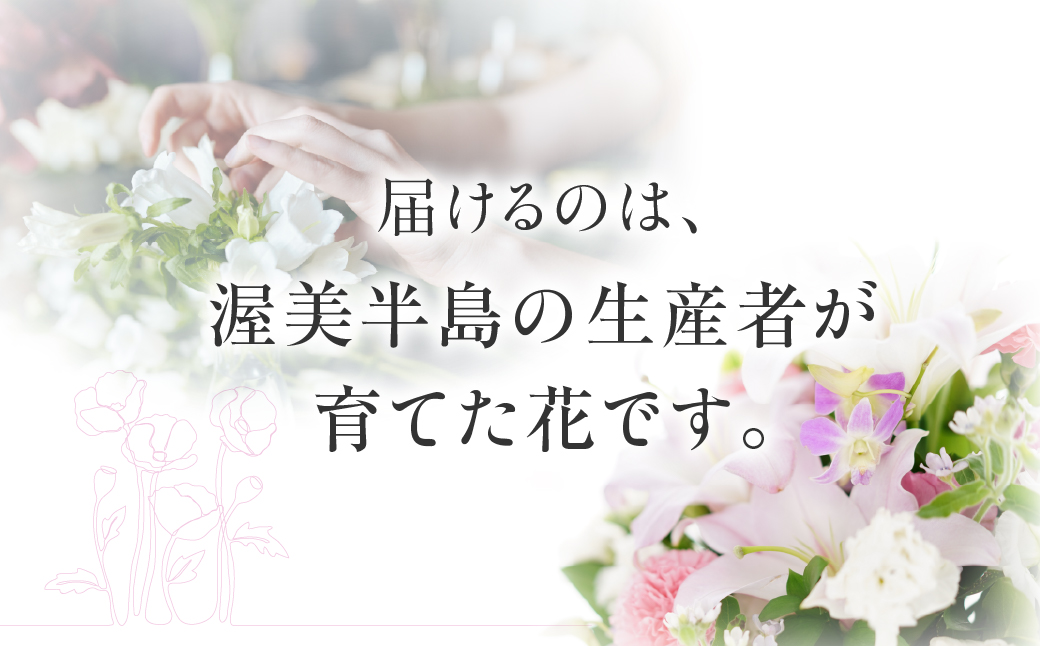 【定期便　年12回】産地直送 《お墓用》 仏花 日時指定可 生産額 日本一 田原市 渥美半島 月命日 お彼岸 お盆 年末 鮮度 生花 お花 定期便 お墓まいり