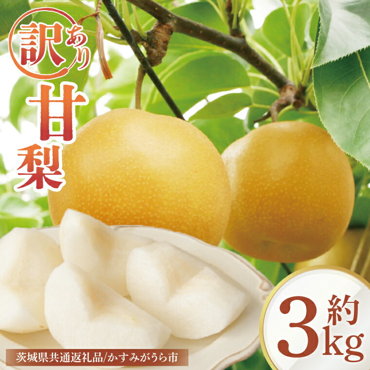【ふるさと納税】【8月中旬より発送】【数量限定】訳あり 甘梨（なし） 約3kg【茨城県共通返礼品／かすみがうら市】【茨城県 水戸市 ふるさと納税 果物 くだもの フルーツ 梨 ナシ なし 採れたて 新鮮 完熟 期間限定 共通返礼品】（FW-8）