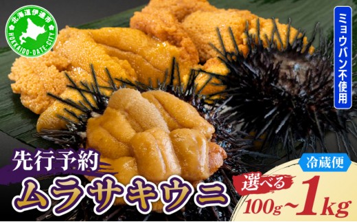 
                  【選べる内容量】＜先行予約＞ 北海道産 ムラサキウニ（正規品） 100g～1kg【ogm-027-sku】生うに 塩水うに ミョウバン不使用 海鮮 国産 北海道 伊達 ふるさと納税
                