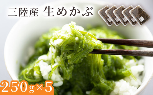 fc-39-012 三陸産生めかぶ【2月中旬から４月末頃お届け便】 ヤマキイチ商店