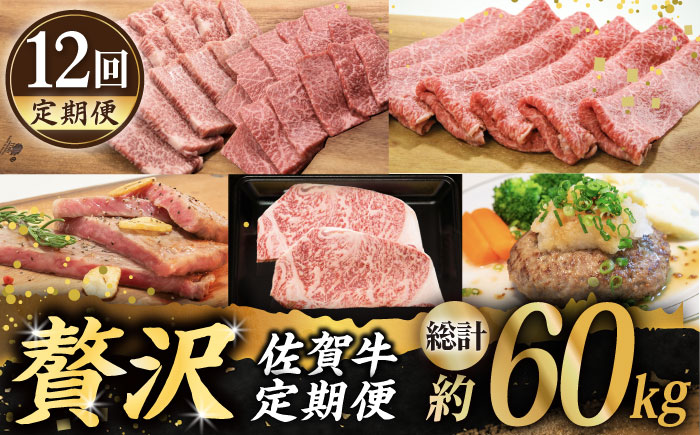 【全12回定期便】佐賀牛 贅沢定期【田中畜産牛肉店】 [HBH045]