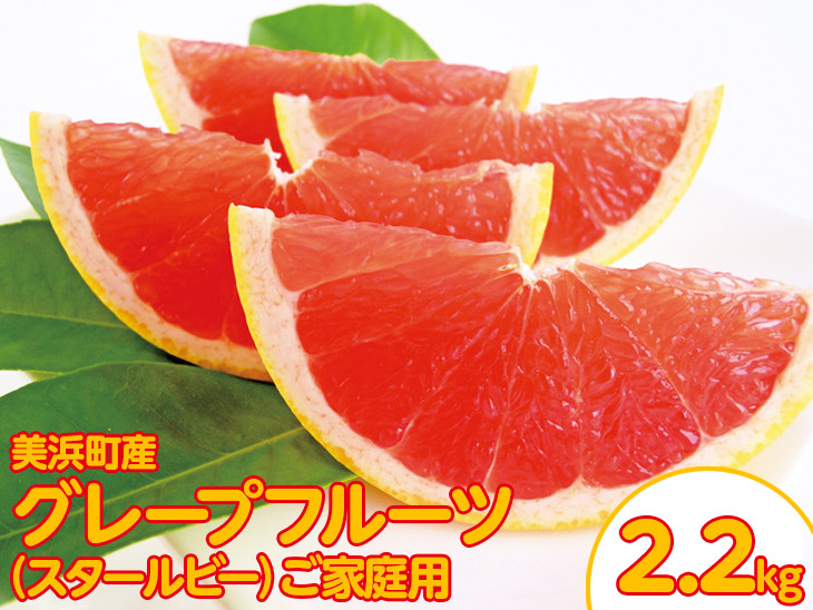 
            美浜町産グレープフルーツ（スタールビー）ご家庭用　6-8玉（約2.2kg） ◇　※2026年5月上旬～7月上旬頃に順次発送予定
          