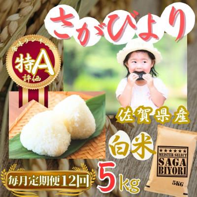 ふるさと納税 伊万里市 【毎月定期便】さがびより【白米】5kg【特A評価】《マイスターセレクト》(伊万里市)全12回