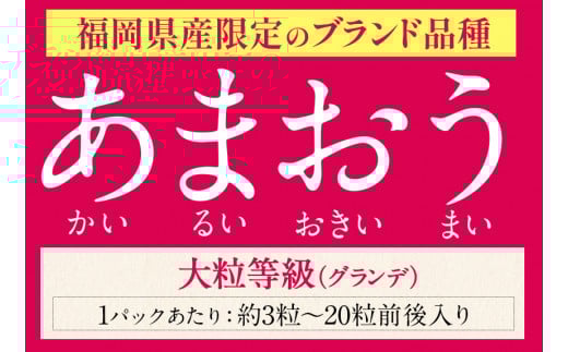 ★2025年出荷分★【先行予約】あまおう いちご 1080g 【着日指定不可】《3月中旬-4月末頃出荷予定》いちご イチゴ フルーツ 特産品 ---fn_ckrama_bc3_25_9000_1080