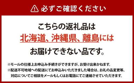 シャインマスカット 晴王 1房 約600g 4回 定期便  7月・8月・9月・10月に1回ずつお届け【2026年7月下旬発送開始】【シャインマスカット マスカット ぶどう 葡萄 岡山県産   種無し 