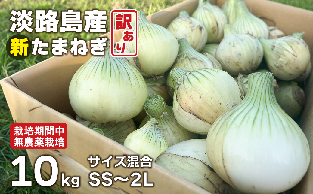 淡路島産 新玉ねぎ 10kg【栽培期間中、無農薬栽培】【訳あり】