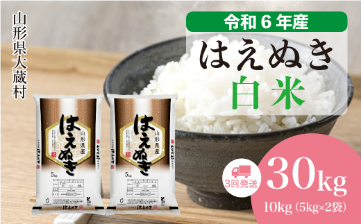 ＜令和6年産米＞ 令和7年7月下旬より配送開始 はえぬき【白米】30kg定期便 (10kg×3回)　大蔵村