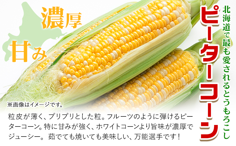 極甘とうもろこし ピーターコーン 20本 特大サイズ(1本380g以上) 高橋賢三《8月上旬-9月中旬頃出荷》 送料無料 北海道 本別町 北海道 十勝 本別町産 極甘 特大 とうもろこし バイカラー 