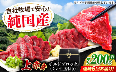 【全6回定期便】『純国産』熊本の味 上赤身 馬刺し 約200g ブロック チルド 冷蔵 タレ付き 馬刺し[AYCN038]