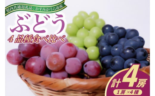 ＜2025年8月より順次発送予定＞ぶどうの4品種食べ比べ(県内共通返礼品:かすみがうら市産) (BR075)
